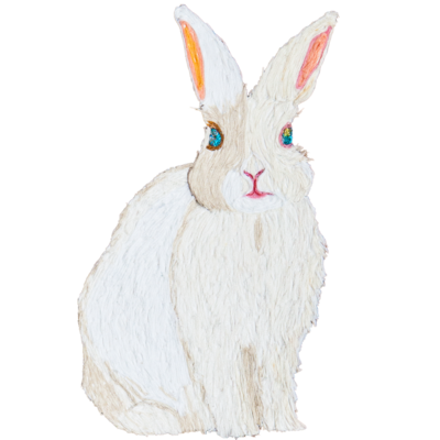 リアルうさぎ アイテムの通販 Suzuri スズリ リアルうさぎ アイテムの通販 Suzuri スズリ