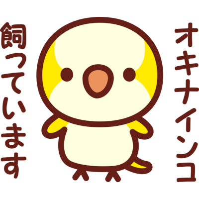 オキナインコ