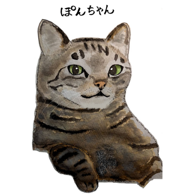 むう、アゲハ、ぽんちゃん