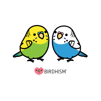 仲良しセキセイインコ