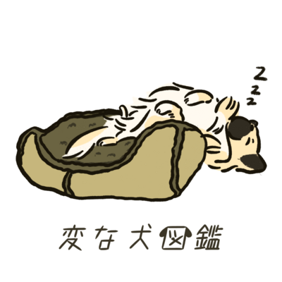 新春セール