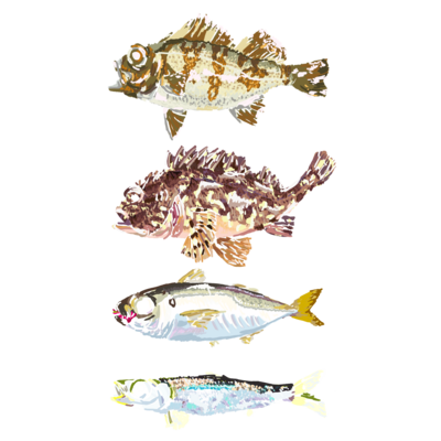 ギョギョギョ魚