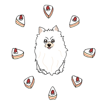a pomeranian / shortcake : clothes