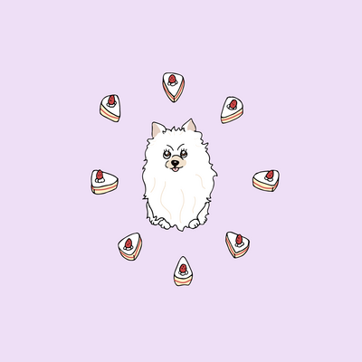 a pomeranian / short cake : general goods