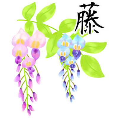 藤の花 ロゴ