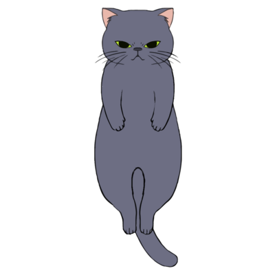 猫グッズ