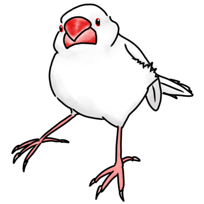 シンプル白文鳥