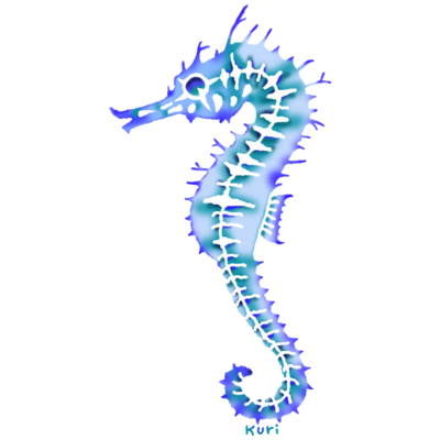 タツノオトシゴ