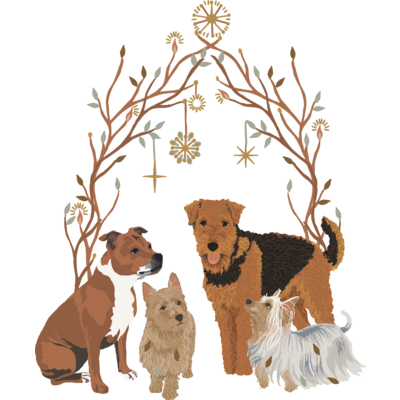 My favirite terriers from A to Z