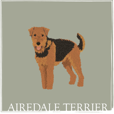 My favirite terriers from A to Z (犬種別)