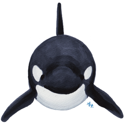 オルカ