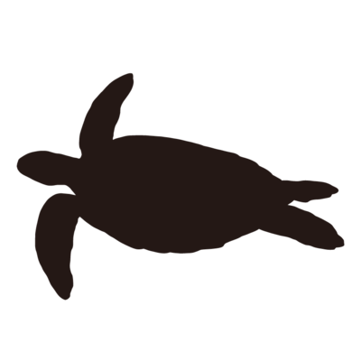 動物