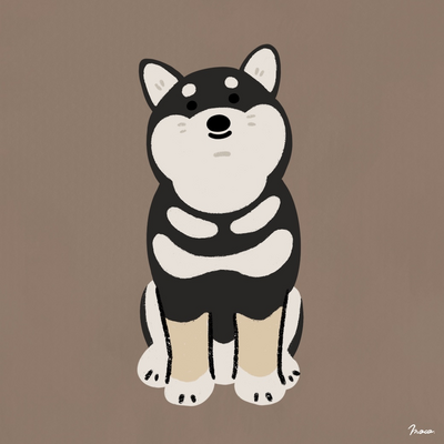 Shiba