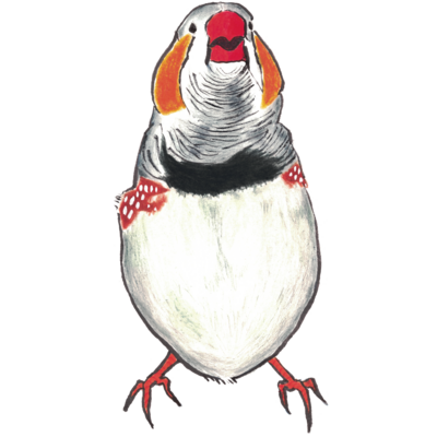 和風錦華鳥