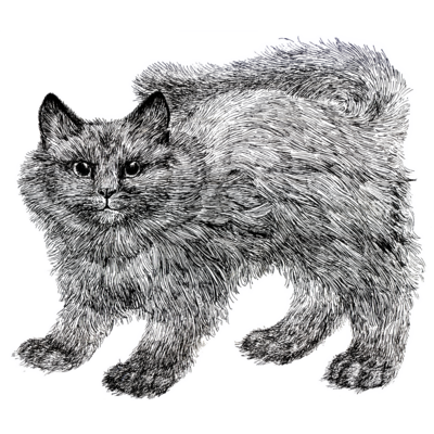 ねこ