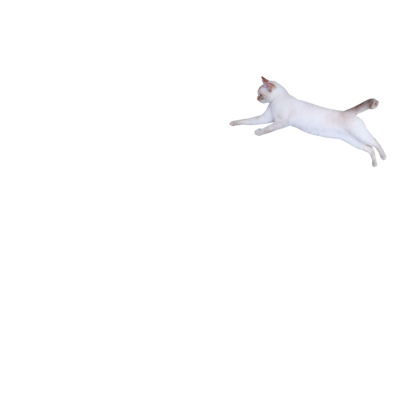 謎 アイテム グッズの通販 Suzuri スズリ