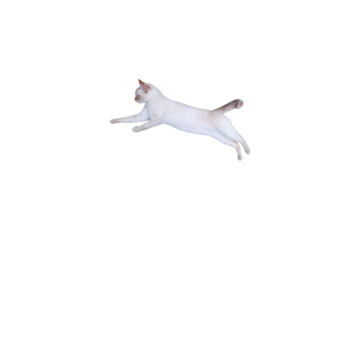 飼い猫 アイテム グッズの通販 Suzuri スズリ 飼い猫 アイテム グッズの通販 Suzuri スズリ