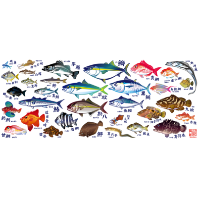 魚図鑑
