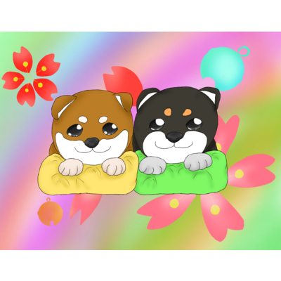 柴犬赤ちゃんズ
