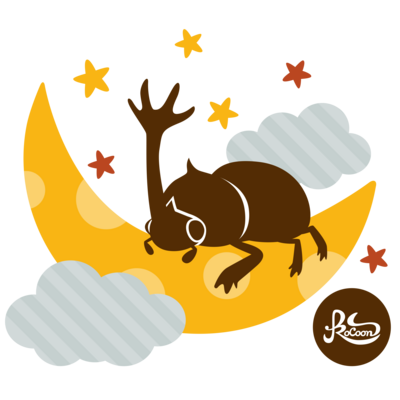 昆虫