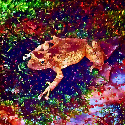 蛙 / カエル / かえる / Frog / フロッグ