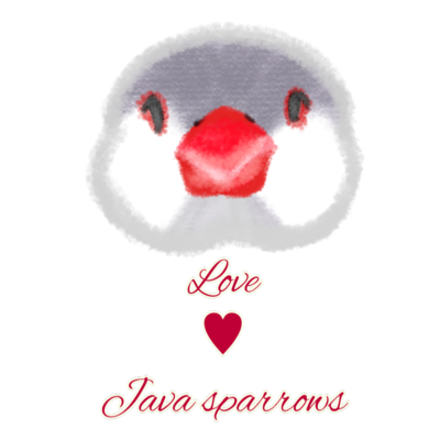 にこにこ文鳥