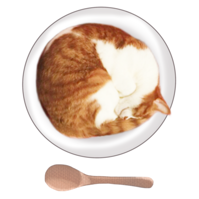 猫カレー🍛