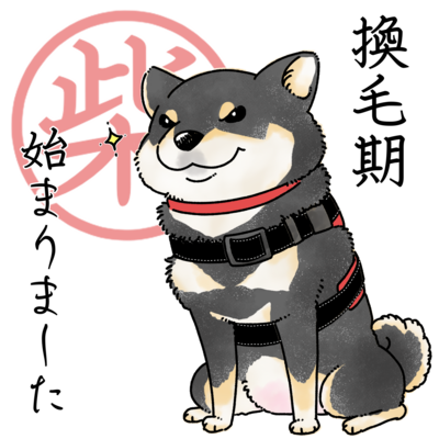 柴犬 パーカーの通販 Suzuri スズリ