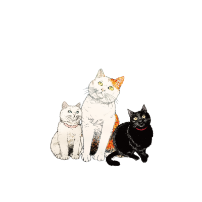 鏡の国のアリス アイテム グッズの通販 Suzuri スズリ