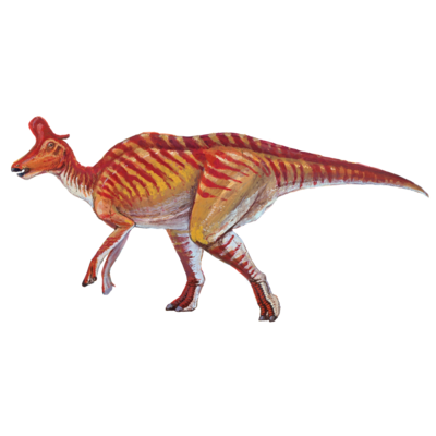  Lambeosaurusのオモイデ