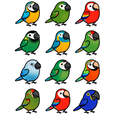 コンゴウインコ大集合