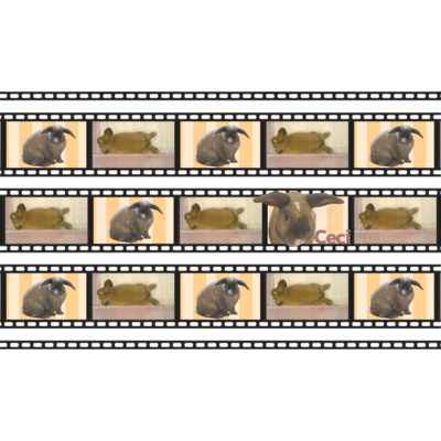 Zfhffcjb0kqdkm Zfhffcjb0kqdkm