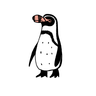 ペンギン Tシャツ ペンギンイラスト ペンギングッズ ペンギン好き ぺんぎん ペンギンtシャツ Suzuri 空とぶペンギン コガタペンギン クリアマルチケースの通販 Suzuri スズリ ペンギン Tシャツ ペンギンイラスト ペンギングッズ ペンギン好き ぺんぎん ペンギンtシャツ Suzuri 空とぶペンギン コガタペンギン クリアマルチケースの通販 Suzuri スズリ