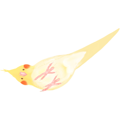 インコ スウェットの通販 Suzuri スズリ インコ スウェットの通販 Suzuri スズリ