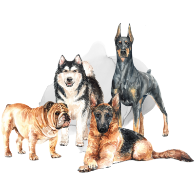 大型犬 スウェットの通販 Suzuri スズリ 大型犬 スウェットの通販 Suzuri スズリ