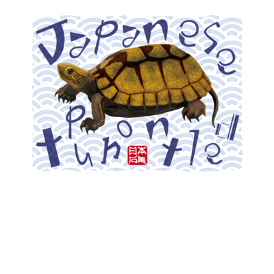 ニホンイシガメ