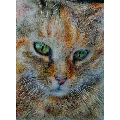 目 絵 アイテムの通販 Suzuri スズリ 目 絵 アイテムの通販 Suzuri スズリ