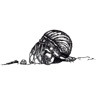 白黒 しろくろ シロクロ Tシャツの通販 Suzuri スズリ