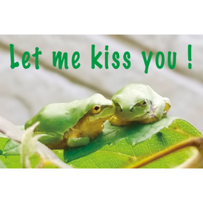 カエル🐸