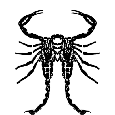 MALFORMATION 黒Ⅱ/DB_26 collection
