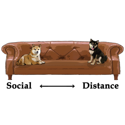 柴犬