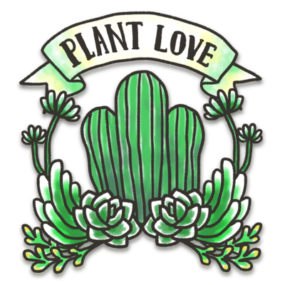 植物💚🌵🌿🌱