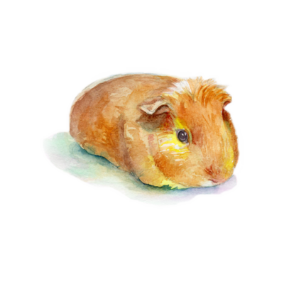 たら アイテム グッズの通販 Suzuri スズリ たら アイテム グッズの通販 Suzuri スズリ