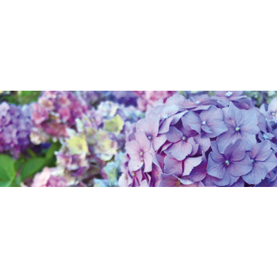 藤の花 アイテム グッズの通販 Suzuri スズリ 藤の花 アイテム グッズの通販 Suzuri スズリ