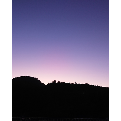 Twilight Purple