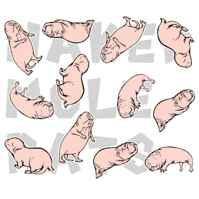 ハダカデバネズミ アイテム グッズの通販 Suzuri スズリ