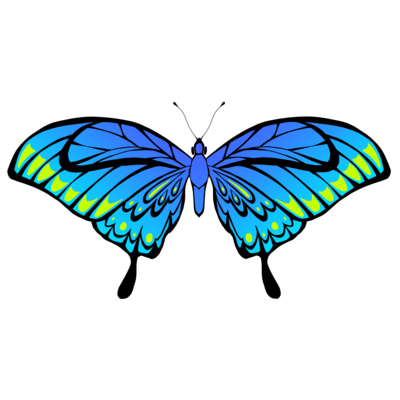 青いグラデーション蝶