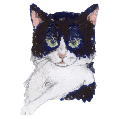 猫ちゃん