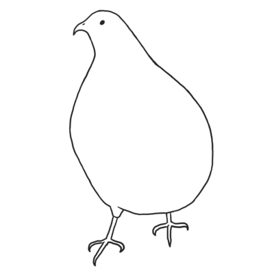 カタカケフウチョウ 鳥 野鳥 極楽鳥 ディスプレイ アイテム グッズの通販 Suzuri スズリ カタカケフウチョウ 鳥 野鳥 極楽鳥 ディスプレイ アイテム グッズの通販 Suzuri スズリ