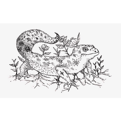 ヒョウモントカゲモドキ ブランケットの通販 Suzuri スズリ